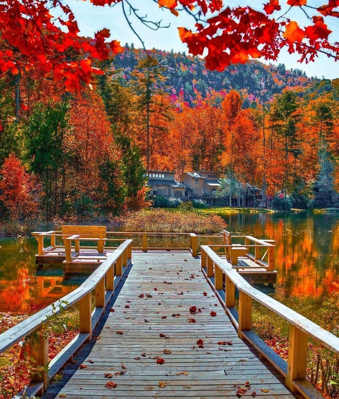 Screenshot_20231206_224028_Instagram