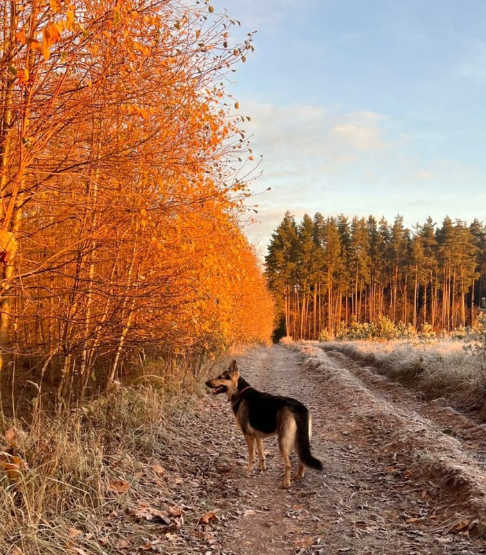 IorFoy0hWFx_EPUCyVvYCuoUdwT2ZZStE9kaFXcHFsz07g39sngc60_HYjDh6J5uOgTr9lhz9S-V04b2-xl6ejn5