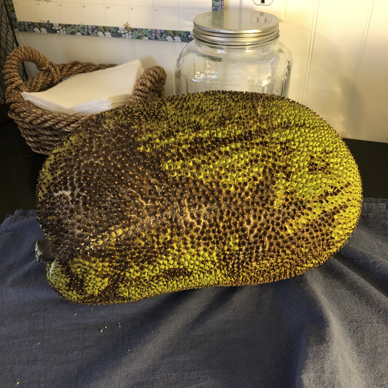 96440C3D-F172-43D6-9D5C-71056B418335