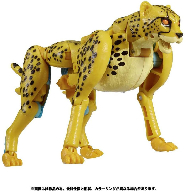 Kingdom-Cheetor-04