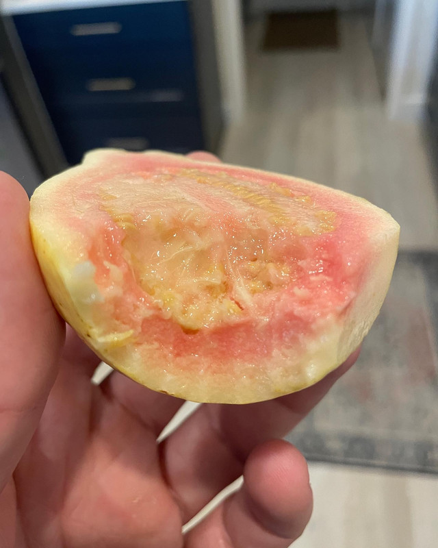 406C0766-A1D6-4CED-8C1D-4F9AF980BEE0