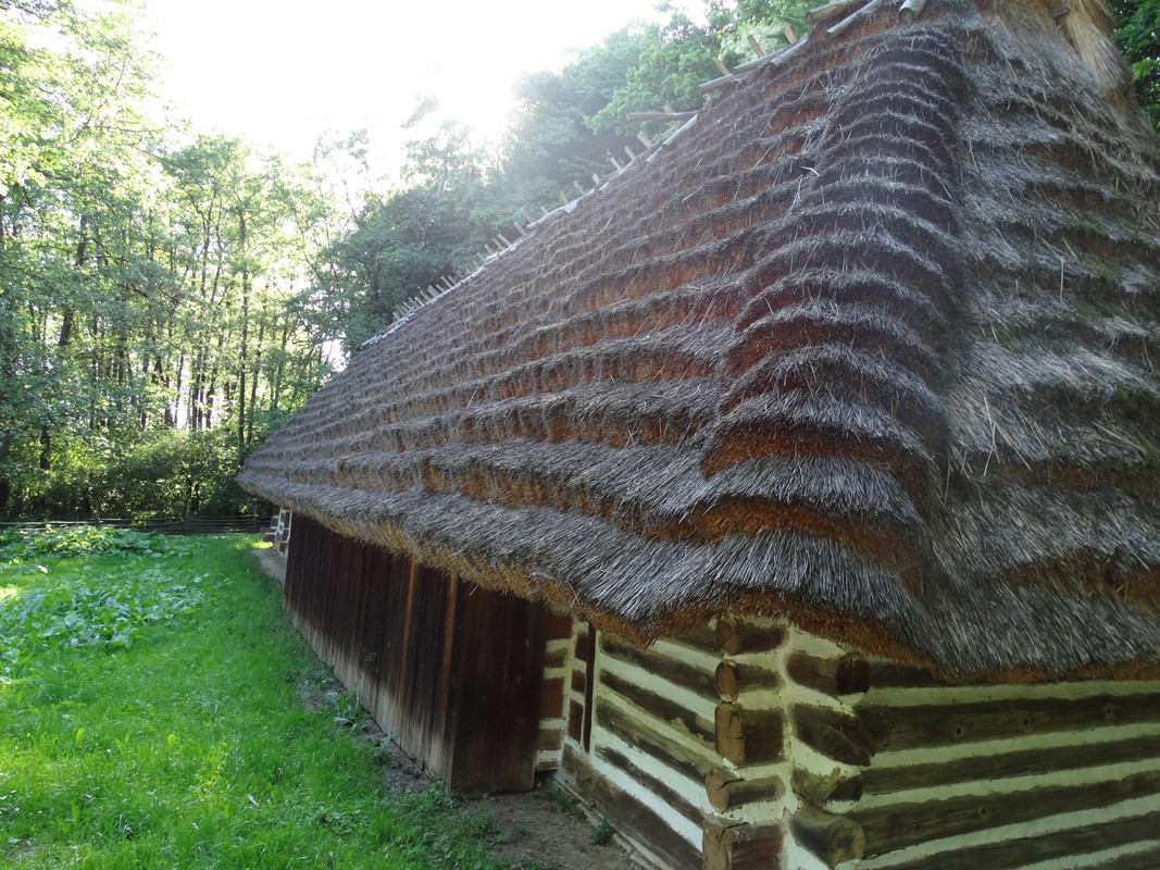 127 - DSC01328 (Milady)