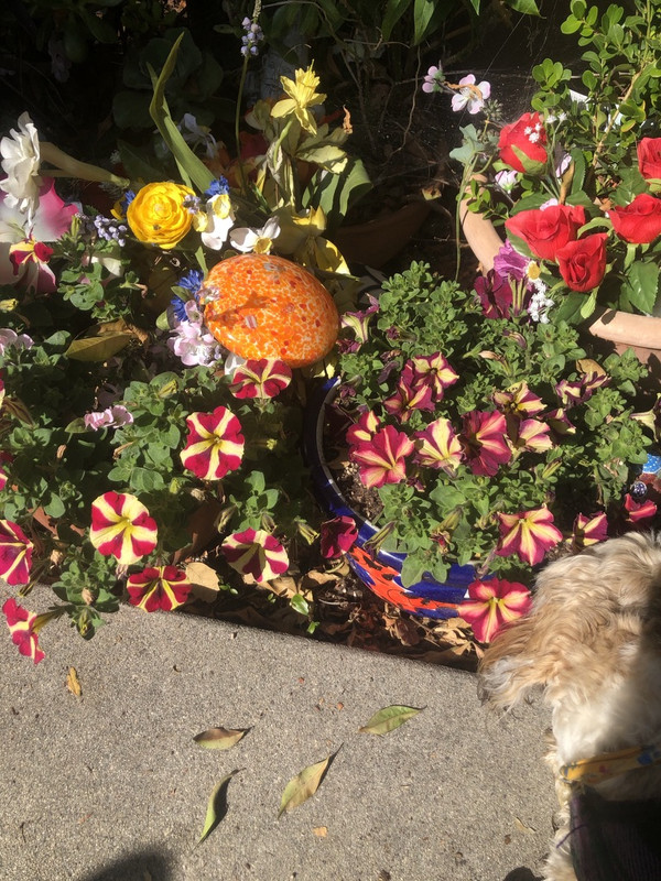 79-D00416-21-E8-4-BFA-BE22-7581320-E38-C8-1-105-c