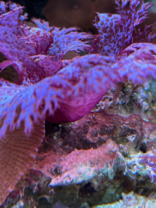 ECAC2E98-F844-4218-8B8E-7236245BB78C