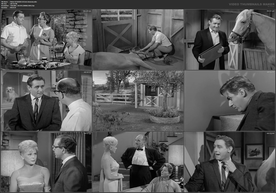 Mister Ed S03E01 Ed Gets Amnesia.mkv