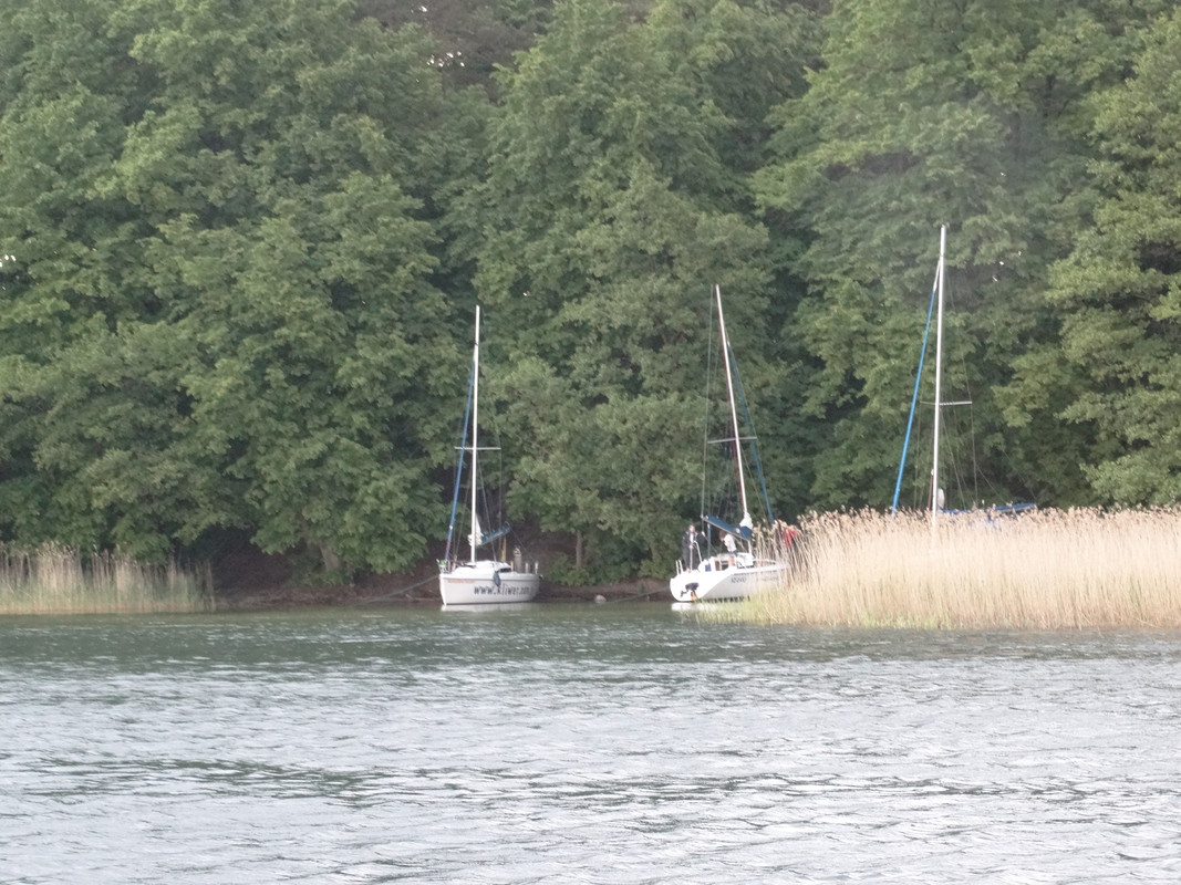 10 - DSC03975 (Czesio1)