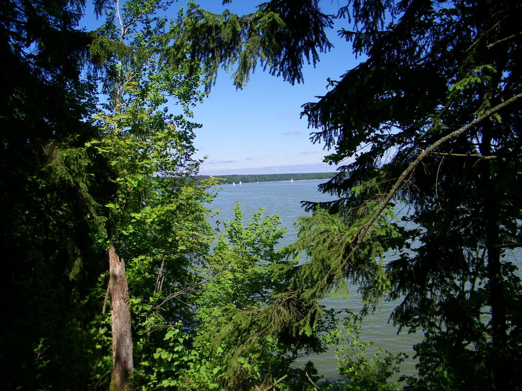 22 - 100_4060 (johny)