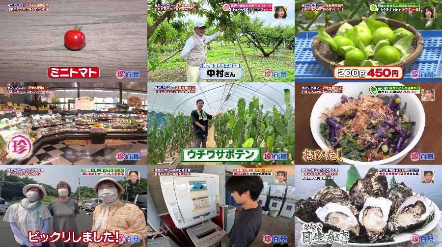 250727-Nanikore-Chin 【Webstream】250727 ナニコレ珍百景 (Nanikore Chin-Hyakkei)