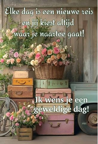 dinsdag