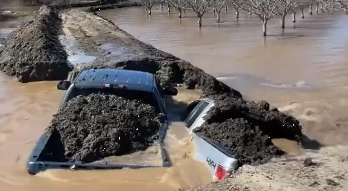 Granjero “sacrifica” dos camionetas para evitar que sus cultivos se inunden: Video