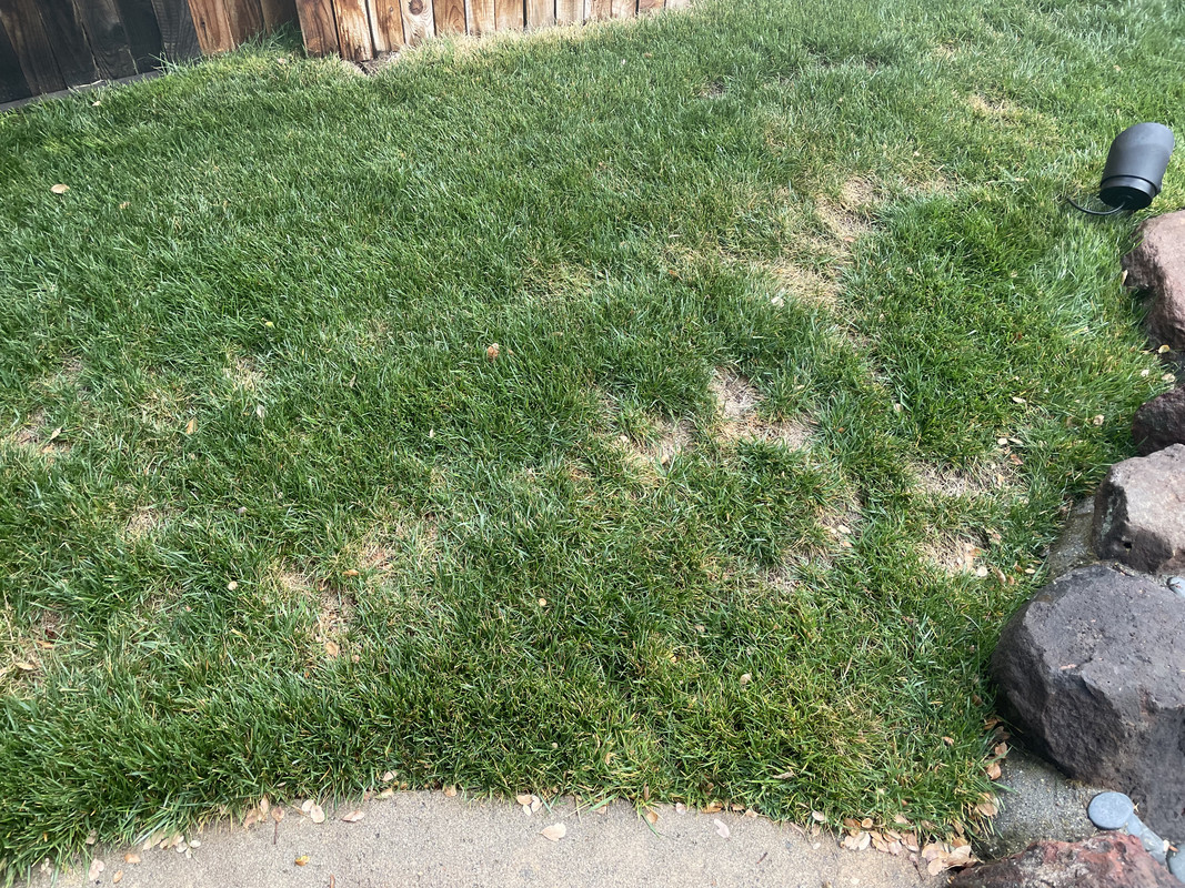 E766C580-66A5-4805-90D7-01015DEE0B65