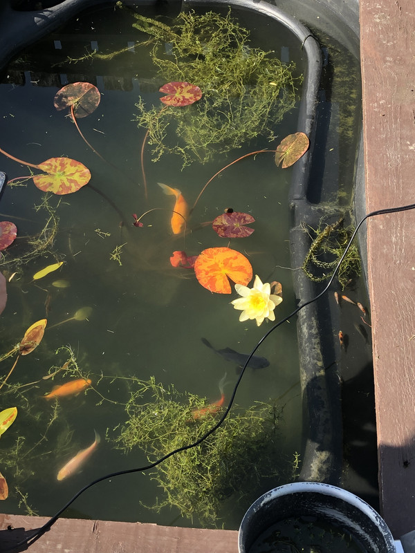 CC1378EE-A4C6-41E8-8CAE-F6F9F6EE0431