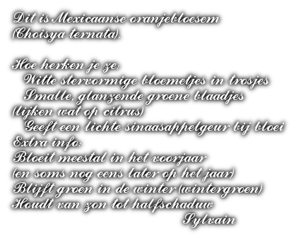 cooltext505885682677839