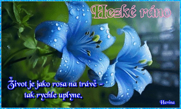 Gy-Bvk0a-Vrkl-E