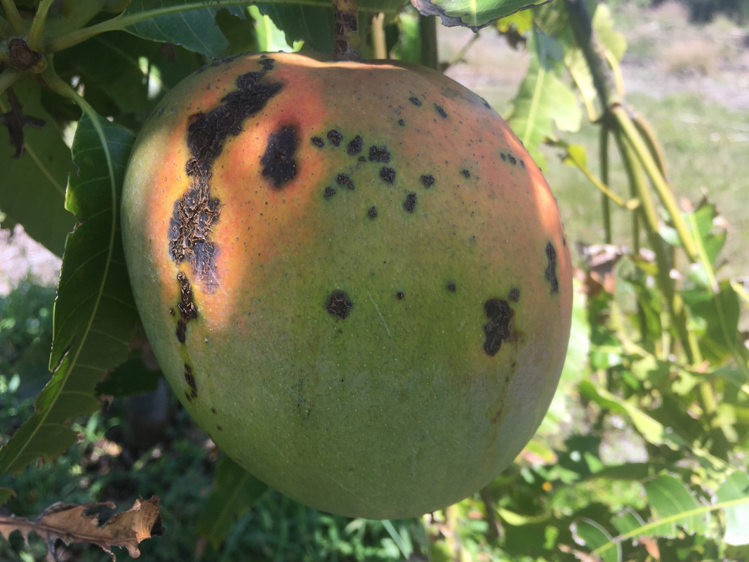 8ECC8B43-5158-4C17-A7BA-FB1ECC5F0E07