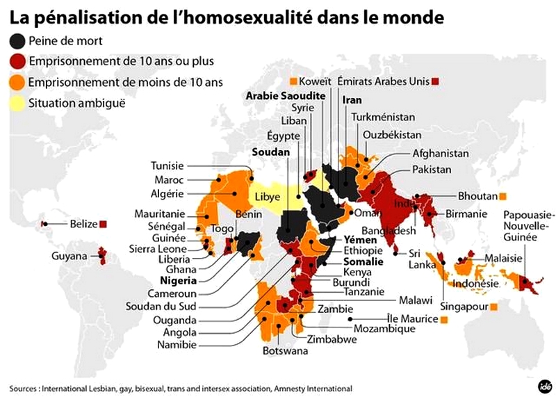 Carte Enrichissement  (13)