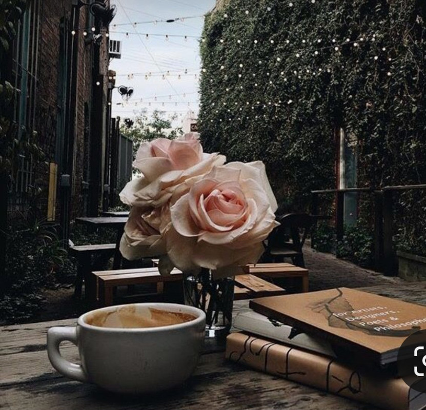 Screenshot_20230819_224122_Pinterest