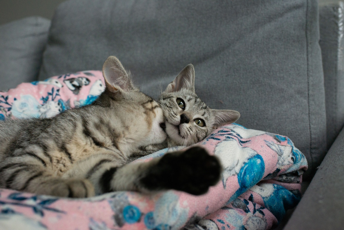 B527DEBA-F474-419F-956E-35571BB364C0