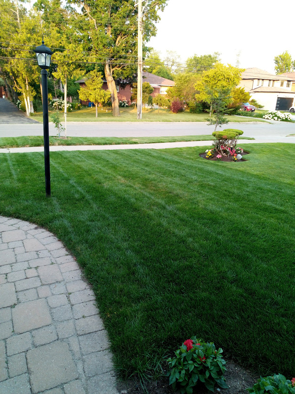 IMG_20190725_194956_0