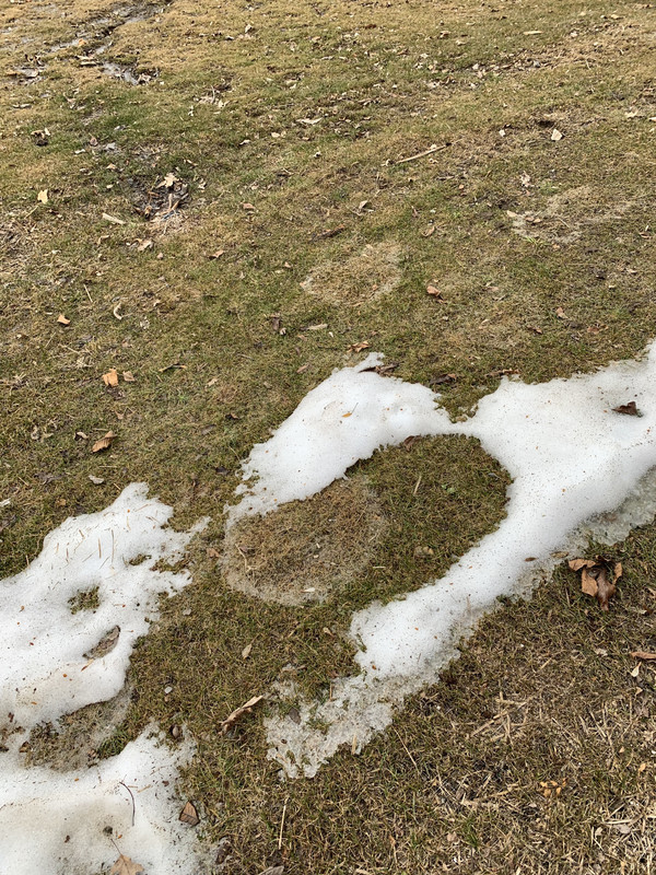 DD31D2C7-53D0-4DFE-A5DA-5893AB139046