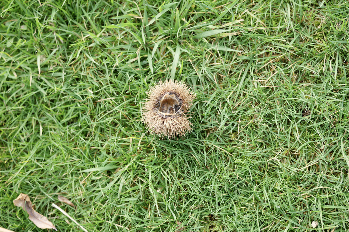 A080FA71-DBA3-431D-B173-C79C9409F83C