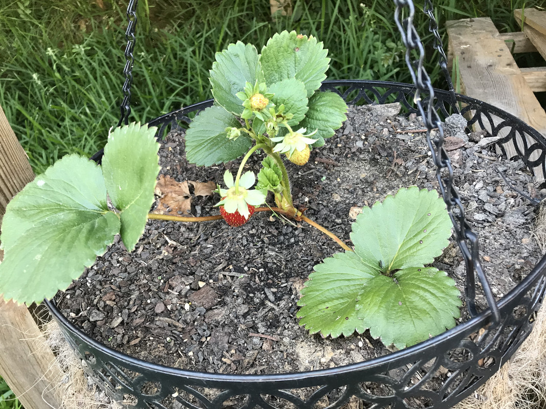 F5C82CAB-2A3D-4C84-AD30-FD9C3D4A22A9