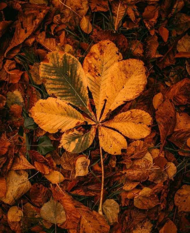 Screenshot_20231208_224907_Instagram