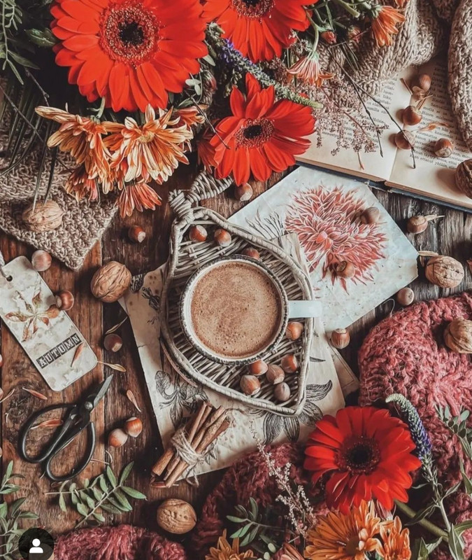 Screenshot_20231204_002502_Instagram