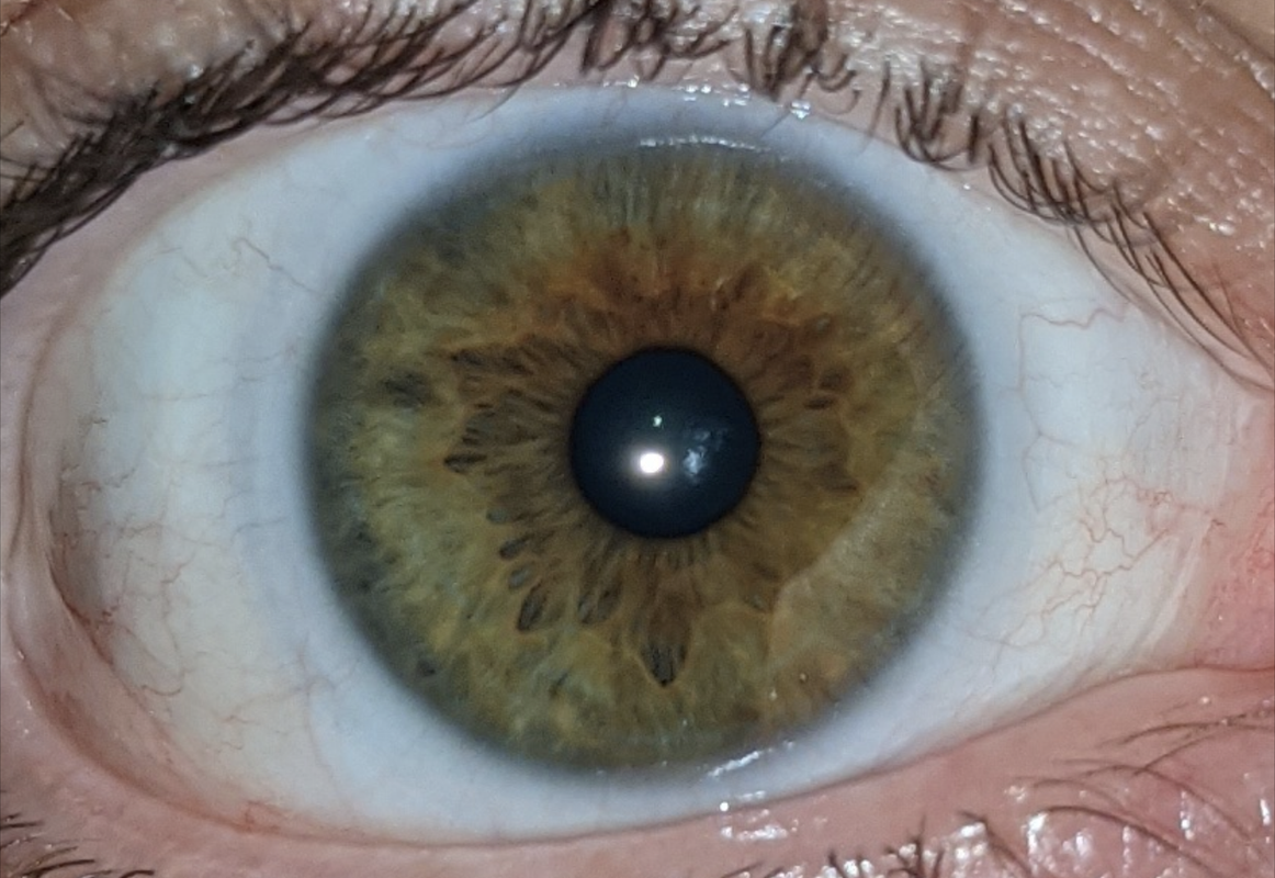 Screenshot_20211021-215849