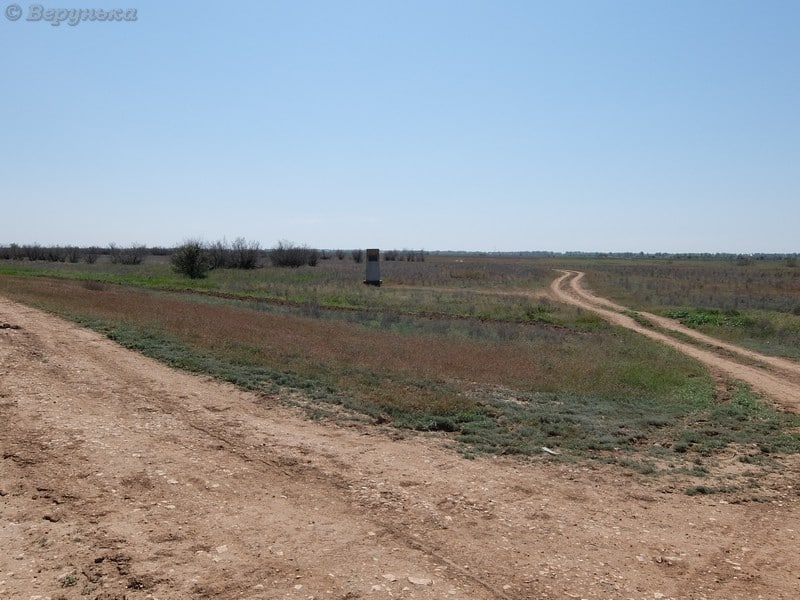 DSCF5810