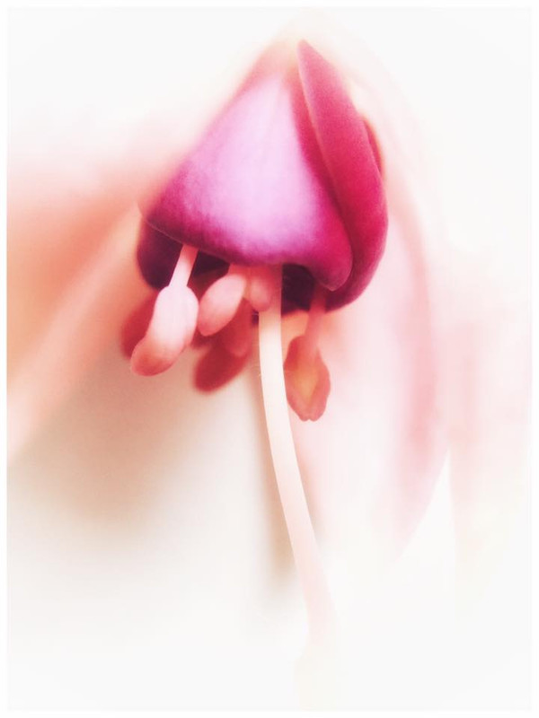 107766138 10156983290572373 3541419402979502050 n