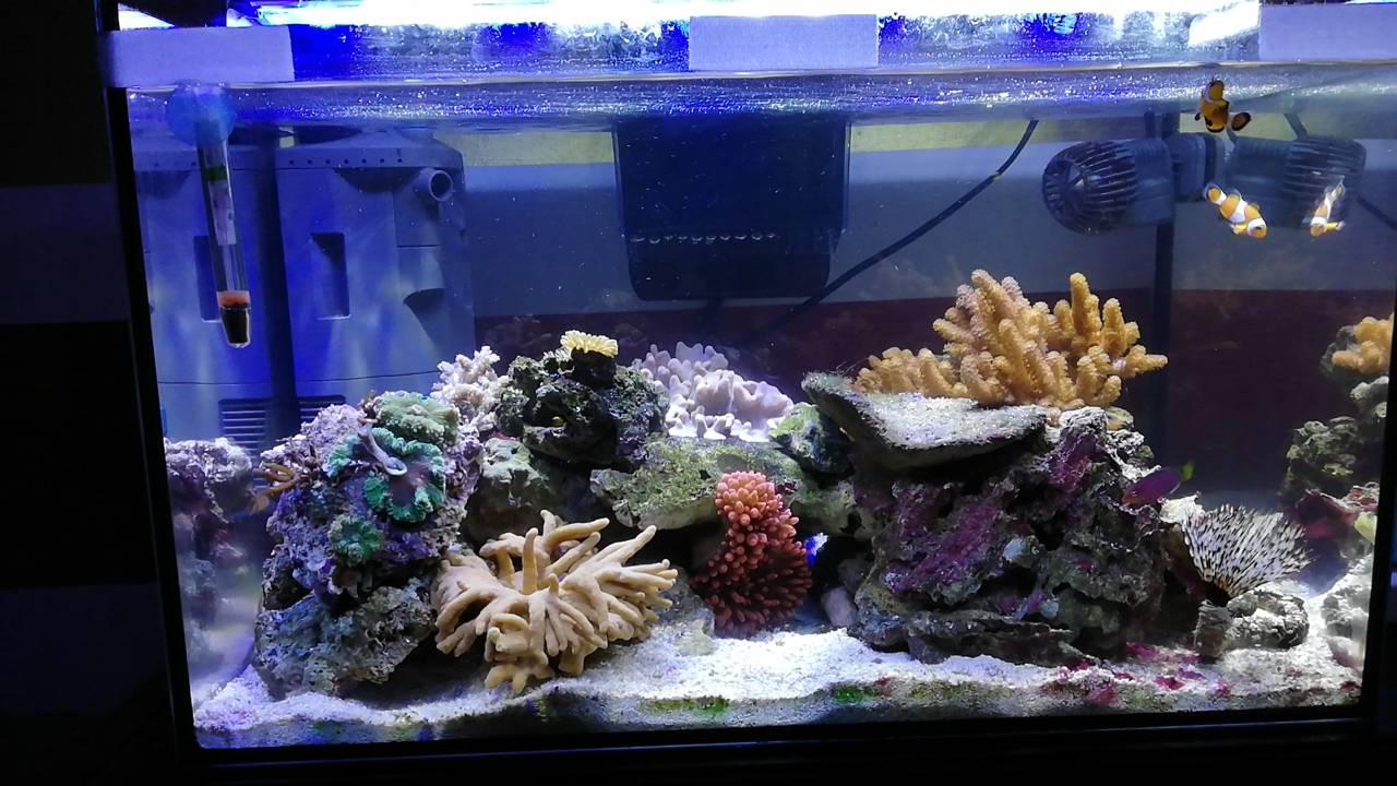 E28B9247-16CE-4619-B903-88E534F8986E