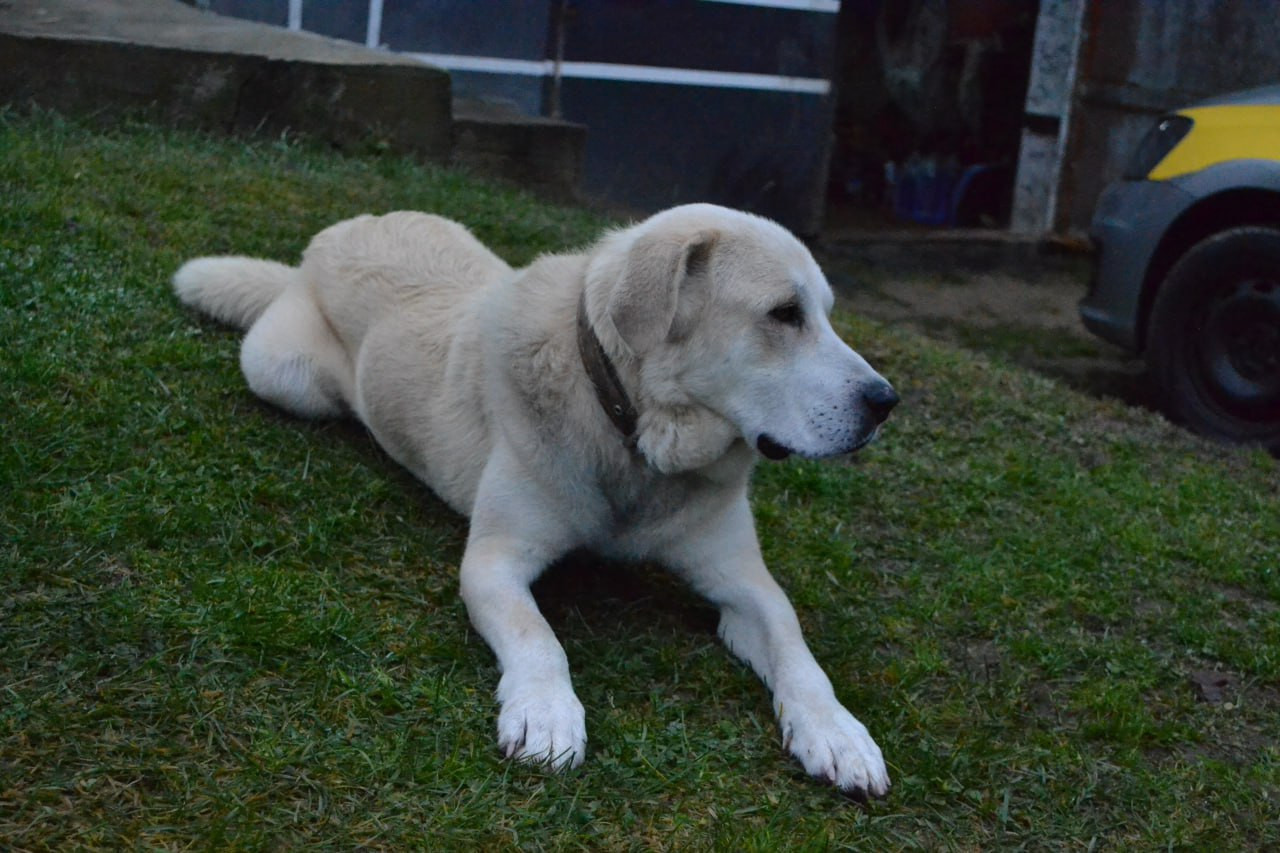 photo 2025 11 30 20 21 29