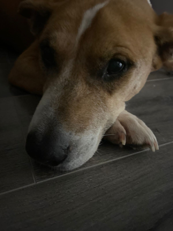 CDD94FB5-D87C-4F3C-BC8D-8E46DFB4BE55