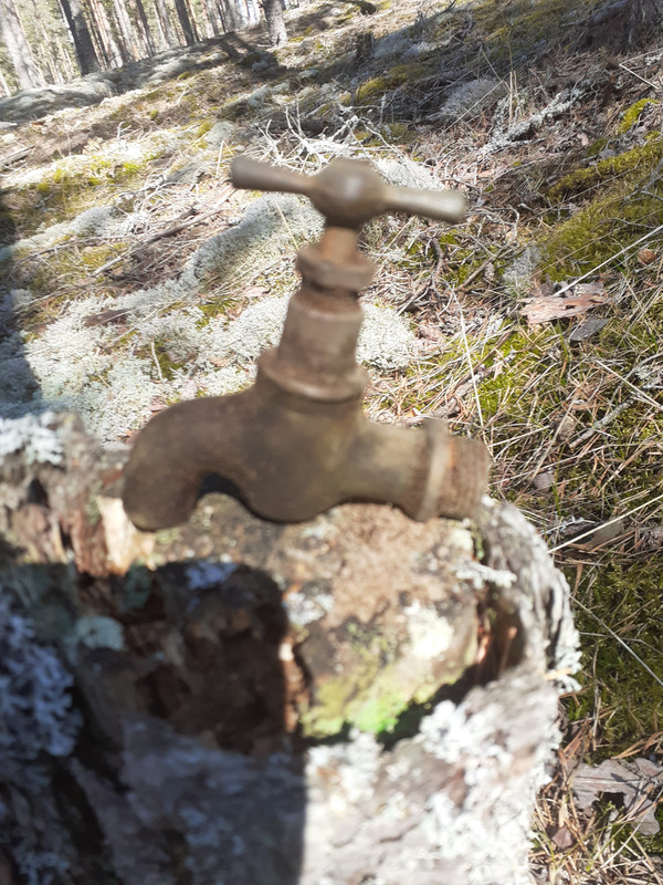 20220508_110438 – kopio