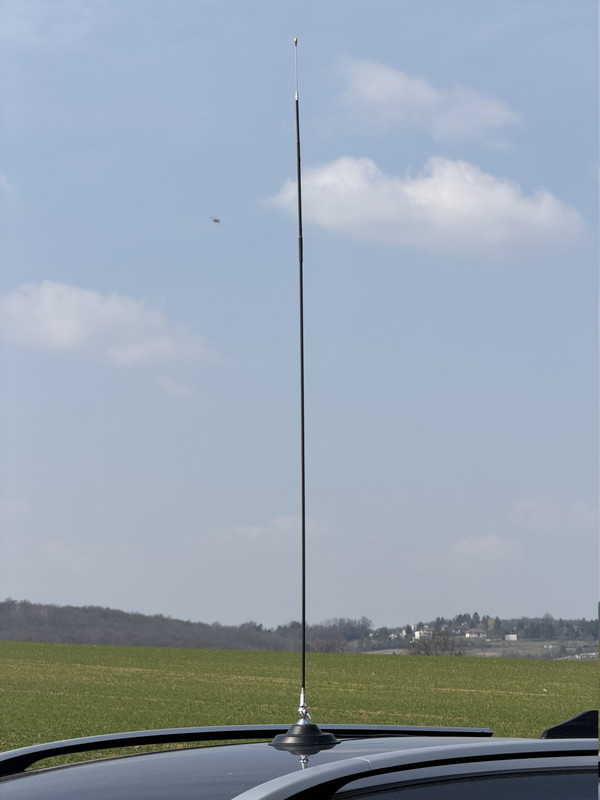 IMG 7825