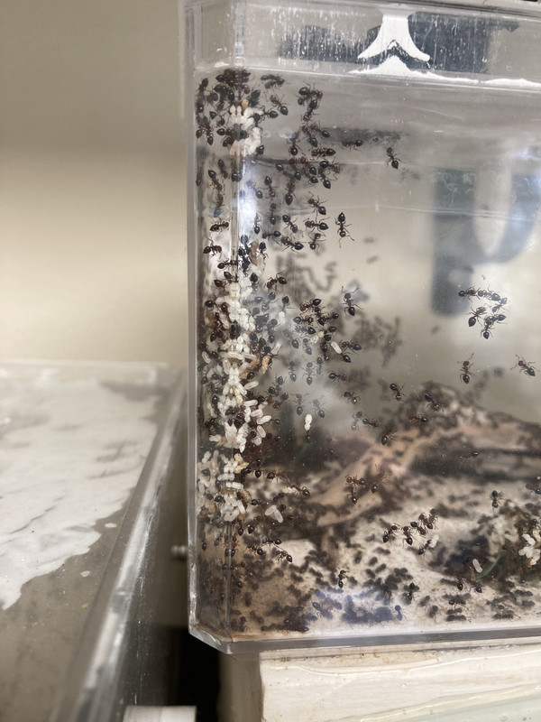 A1F999B6-B7D7-456A-B08C-BD1966042742