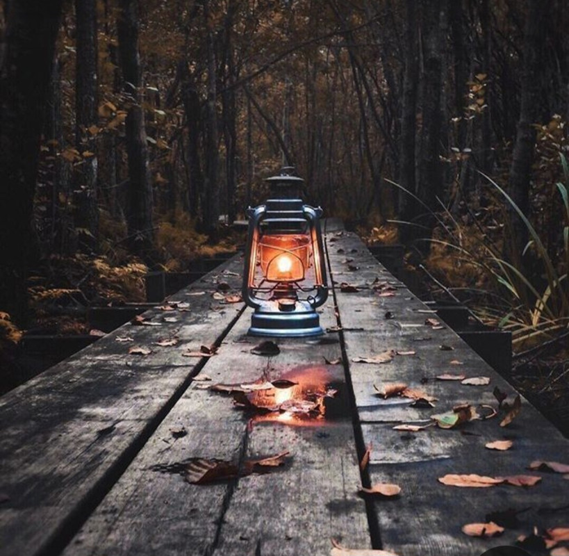 Screenshot_20231115_205947_Pinterest