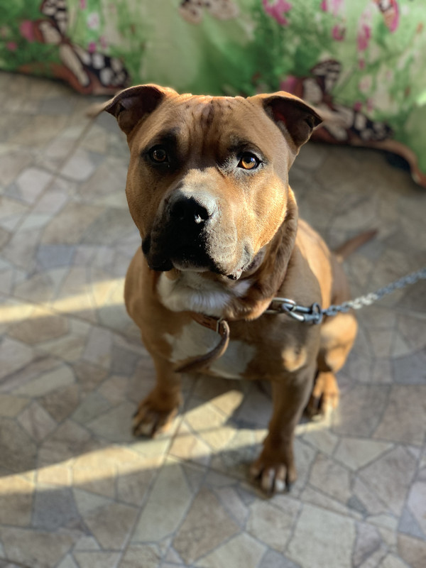 6D4A0495-A9C3-4B28-A9ED-B36BDF8E5C36