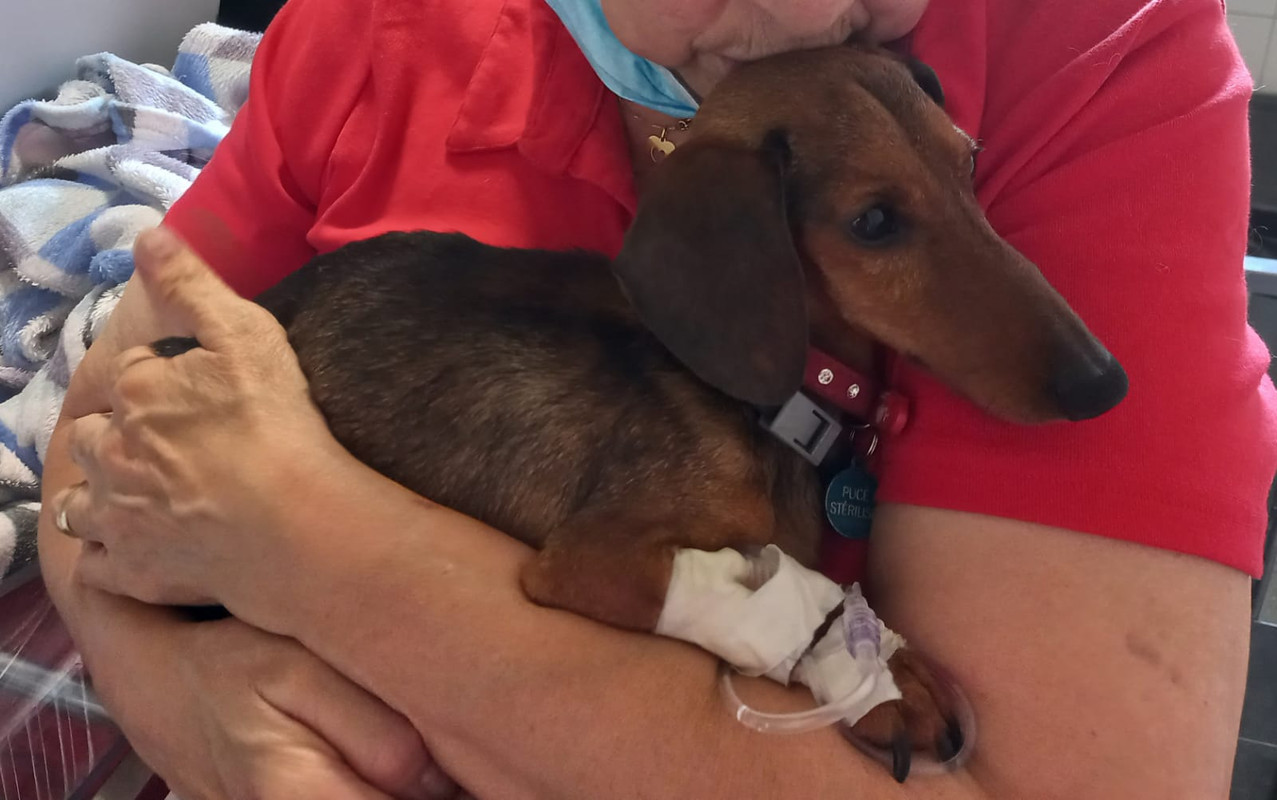 [Image: IMG-20220720-WA0000.jpg]