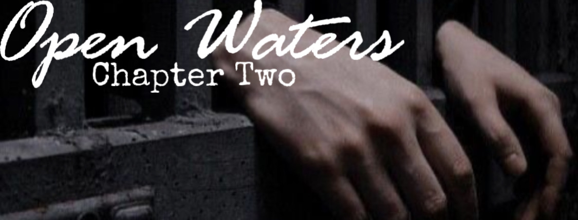 Chapter 2: Hands sticking through a jail cell door