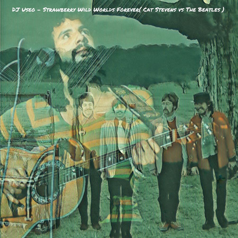 djuseo-strawberry-forever