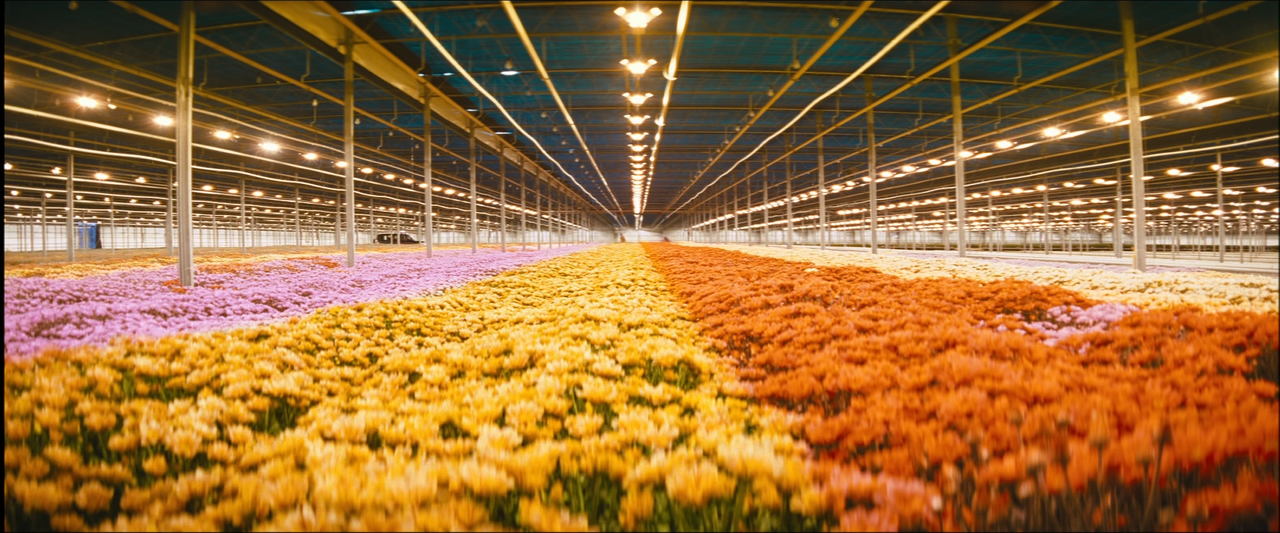 Layer Cake (2004) Multi 1080p BluRay AV1 Opus [AV1D].mkv_snapshot_00.07.00_[2021.01.29_18.25.17]