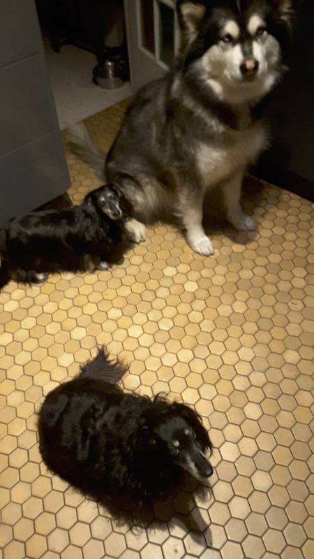 [Image: 20220201-080744.jpg]