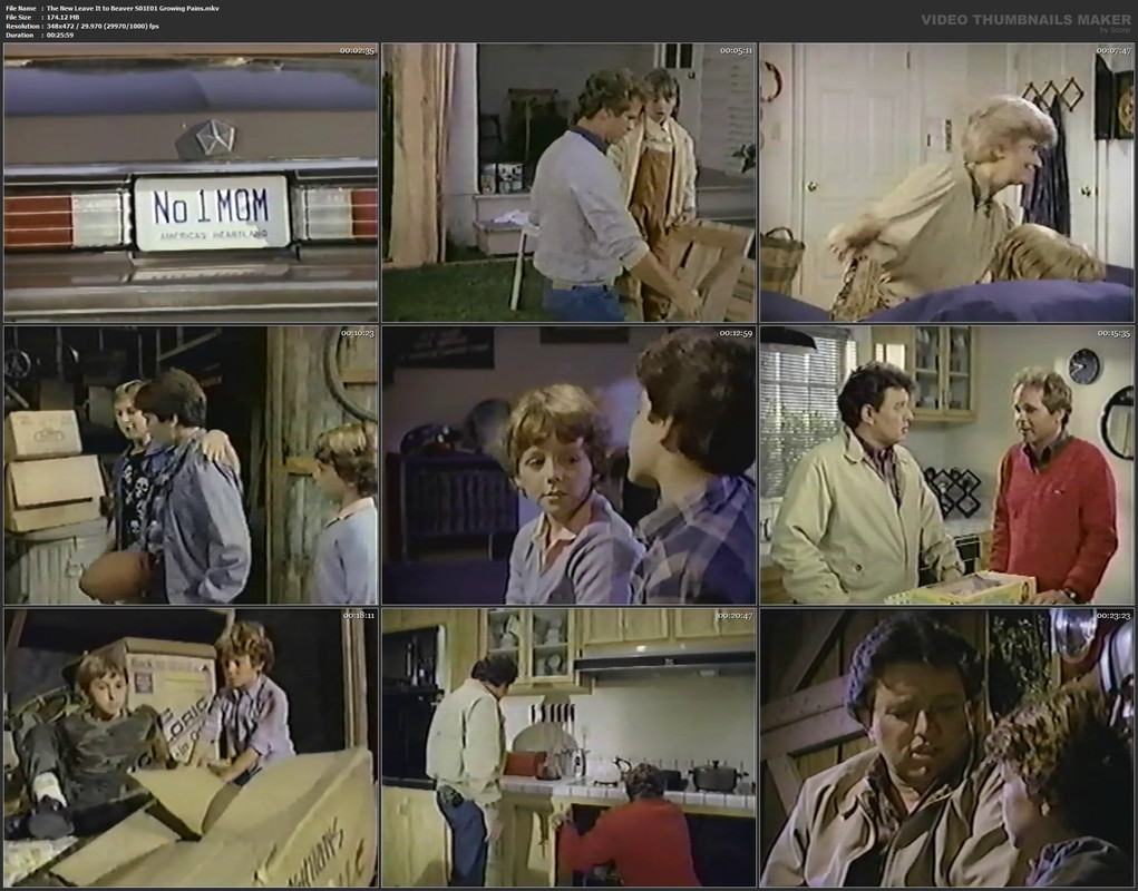 The New Leave It to Beaver S01E01 Growing Pains.mkv