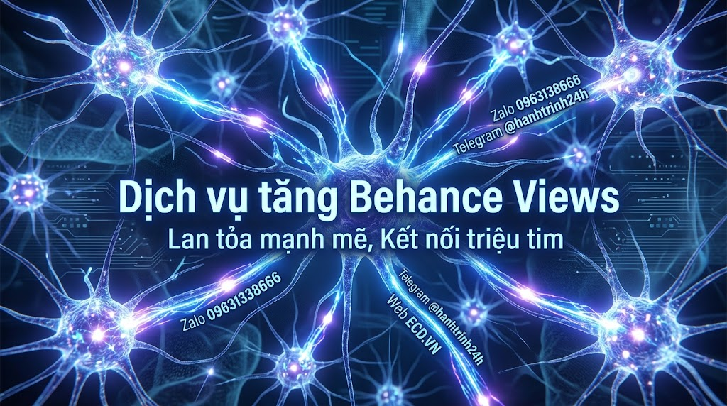 tăng behance views giá rẻ tăng follower