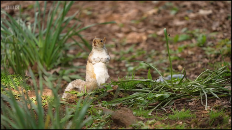 [Image: 4r2oq3gtqxv1.png]