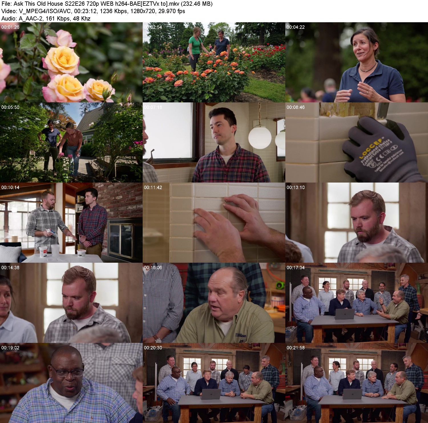 [Image: soi41lo61our.jpg]