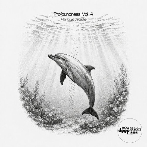 00-va-profoundness-vol-4-dcmva019-web-20