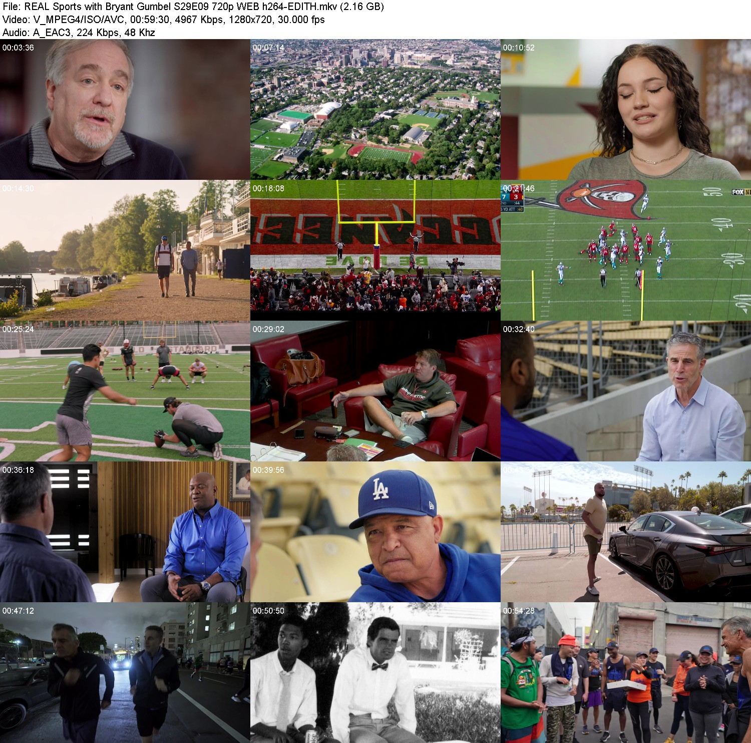 [Image: 2x2htdyo75vc.jpg]